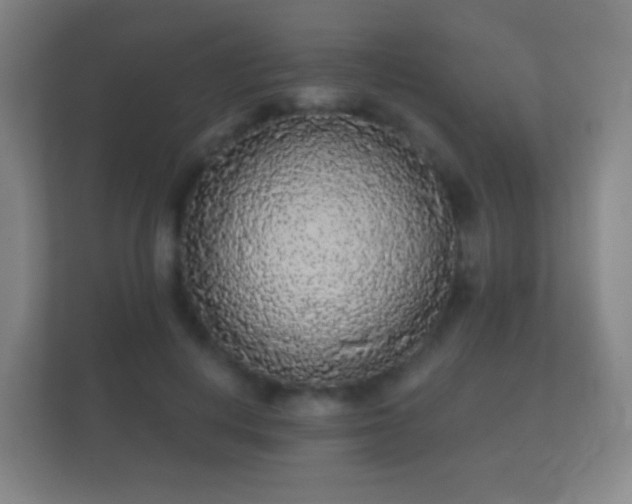 X0000112160648200908141235