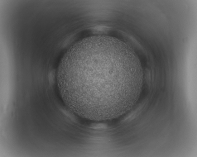 X0000112160649200908141235