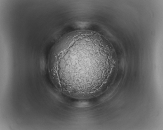 X0000112160651200908141235