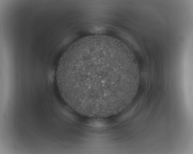 X0000112160652200908141235