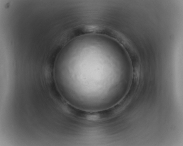 X0000112160653200908141235