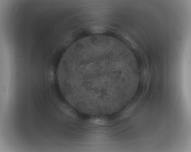 X0000112160655200908141235