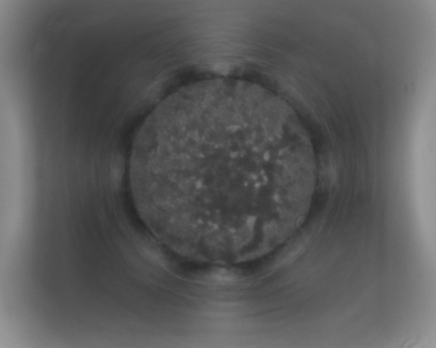 X0000112160656200908141235