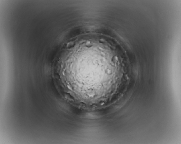 X0000112160657200908141235