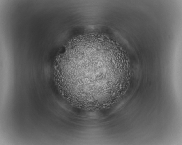 X0000112160659200908141235