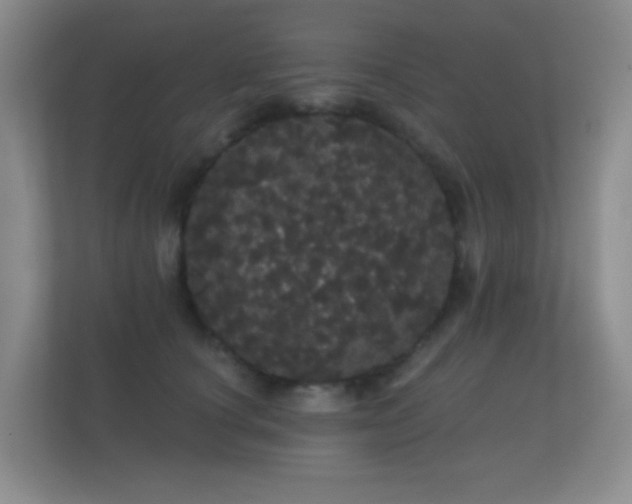 X0000112160660200908141235
