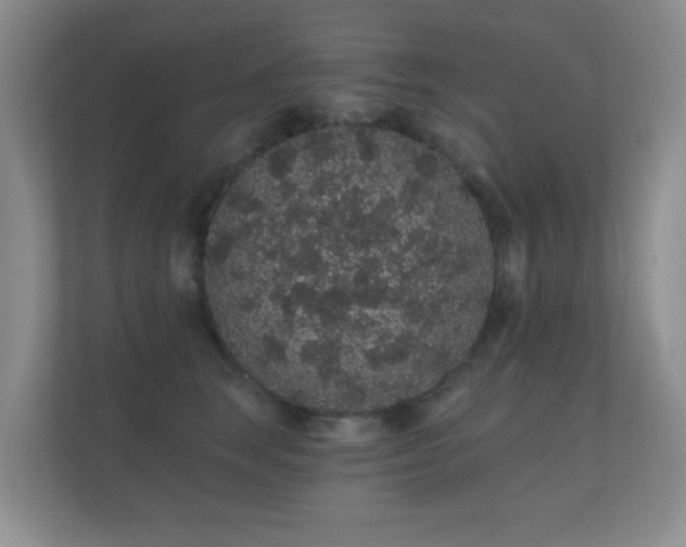 X0000112160663200908141235