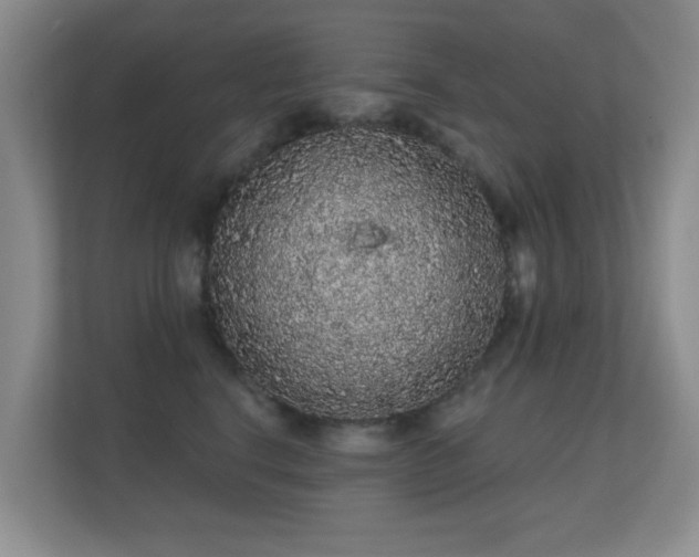 X0000112160664200908141235
