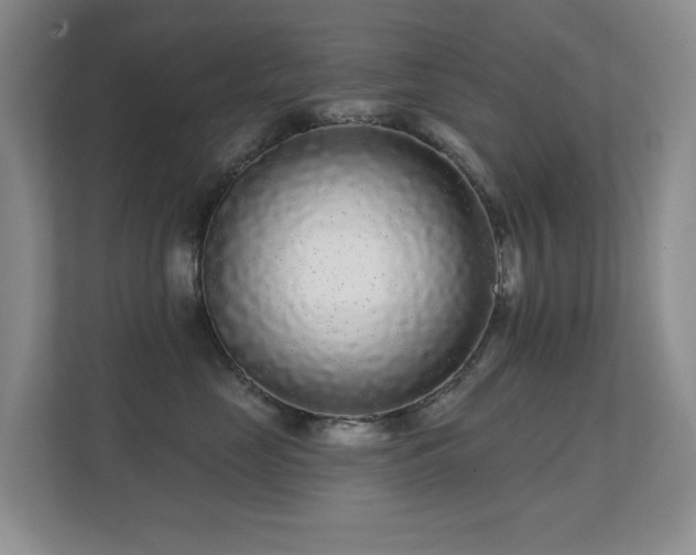 X0000112160669200908141235