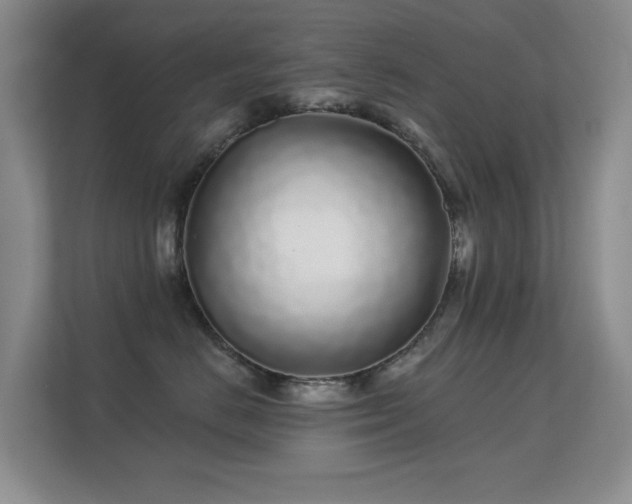 X0000112160670200908141235