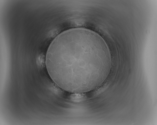X0000112160672200908141236