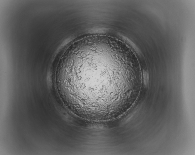 X0000112160675200908141235