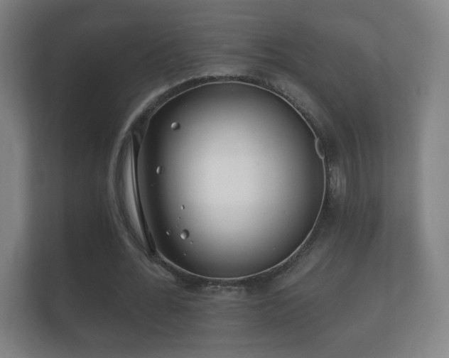 X0000112160676200908141235