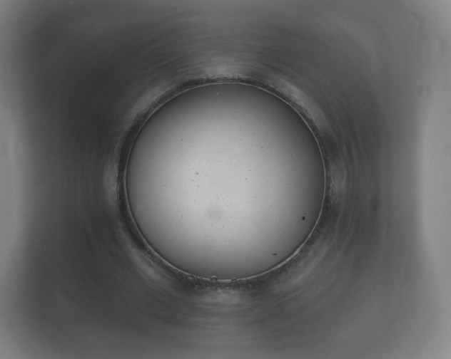 X0000112160677200908141235