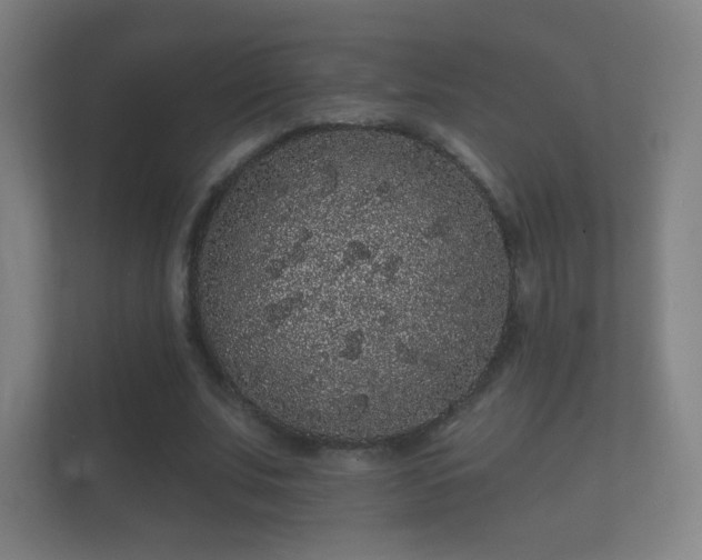 X0000112160679200908141235