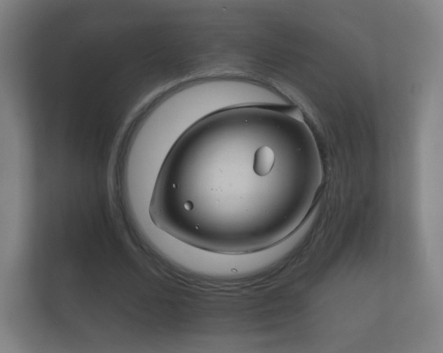 X0000112160680200908141235