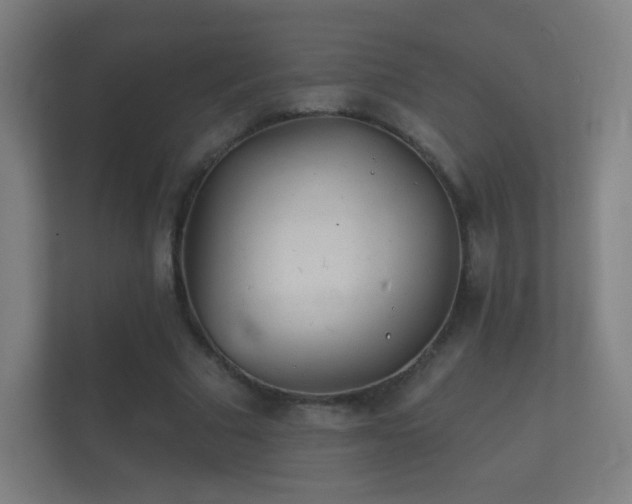 X0000112160681200908141235