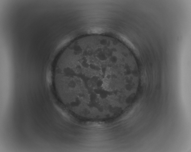 X0000112160683200908141235