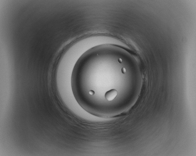 X0000112160684200908141235