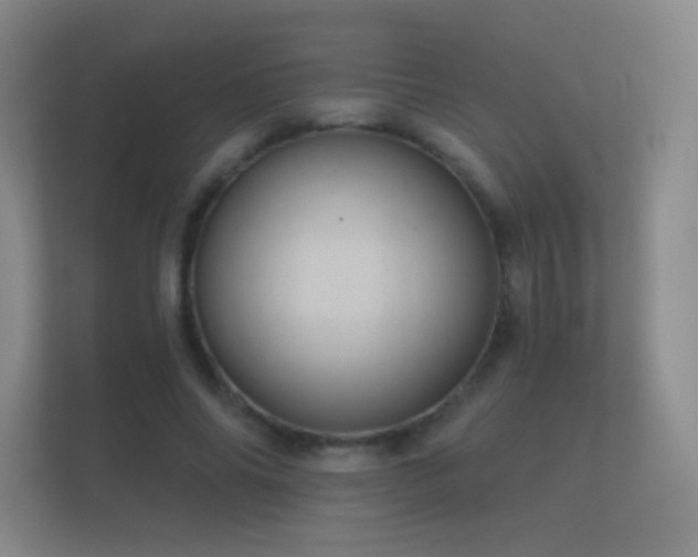 X0000112160686200908141235