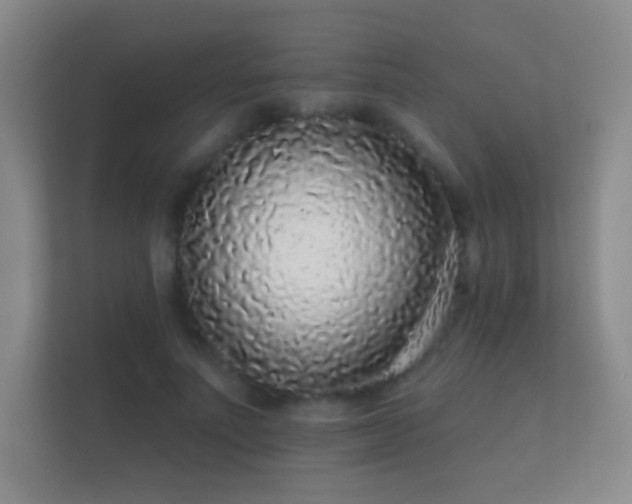 X0000112160691200908141235