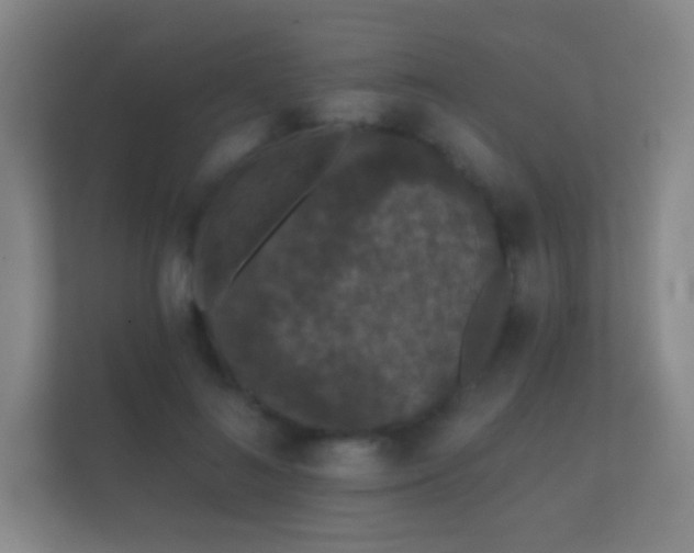 X0000112160692200908141235