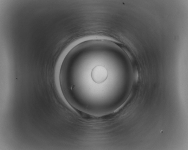 X0000112160693200908141235