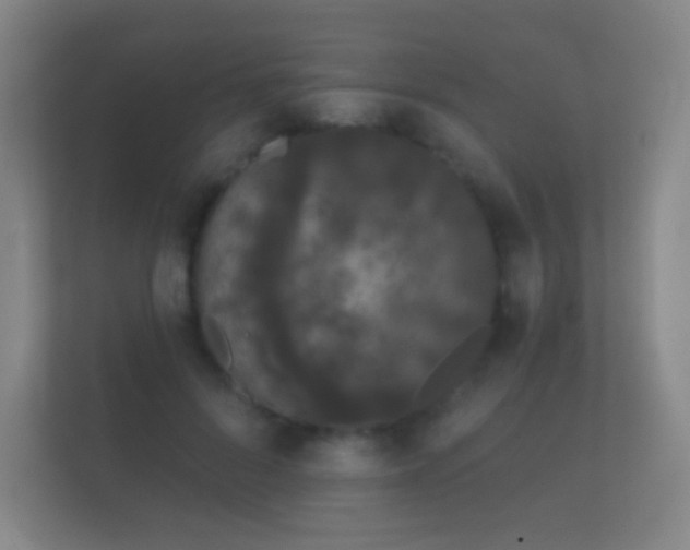 X0000112160696200908141235