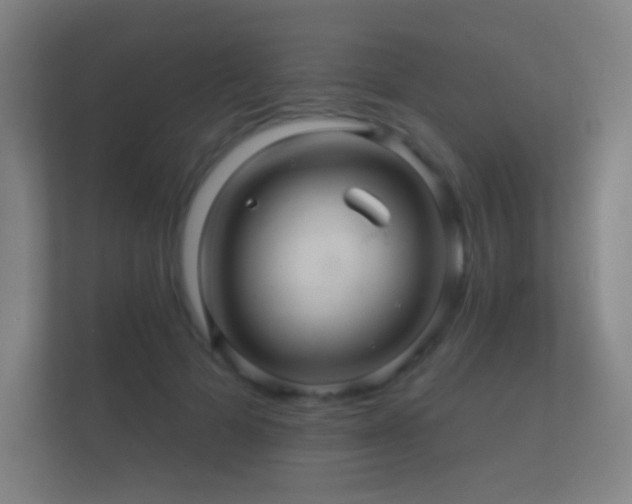 X0000112160697200908141235