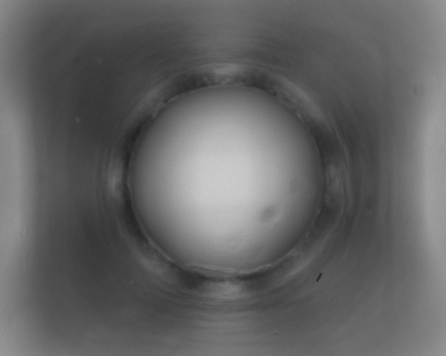 X0000112160698200908141235