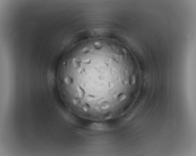 X0000112160699200908141235