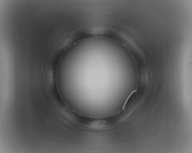 X0000112160700200908141235
