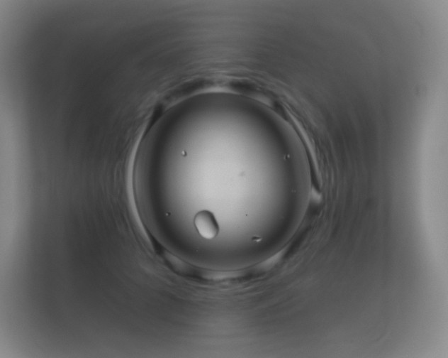 X0000112160704200908141234