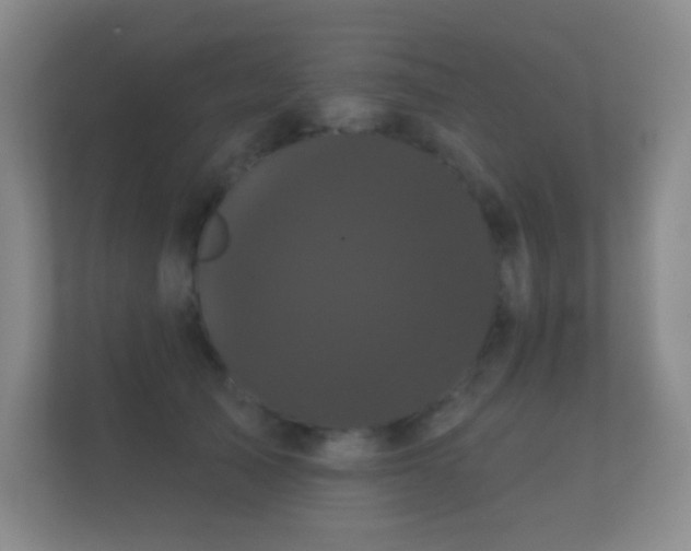 X0000112160705200908141234