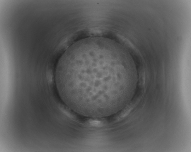 X0000112160706200908141234