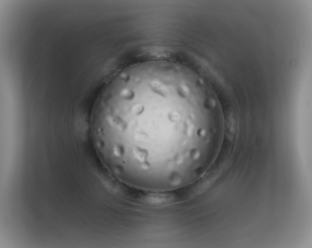 X0000112160707200908141234