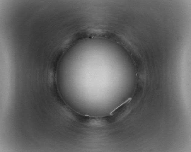 X0000112160708200908141234