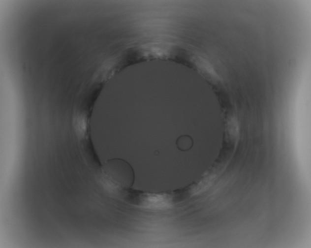 X0000112160709200908141234