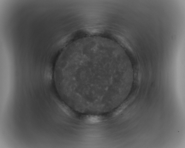 X0000112160710200908141234
