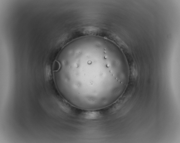 X0000112160711200908141234