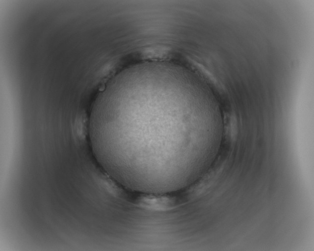 X0000112160712200908141234