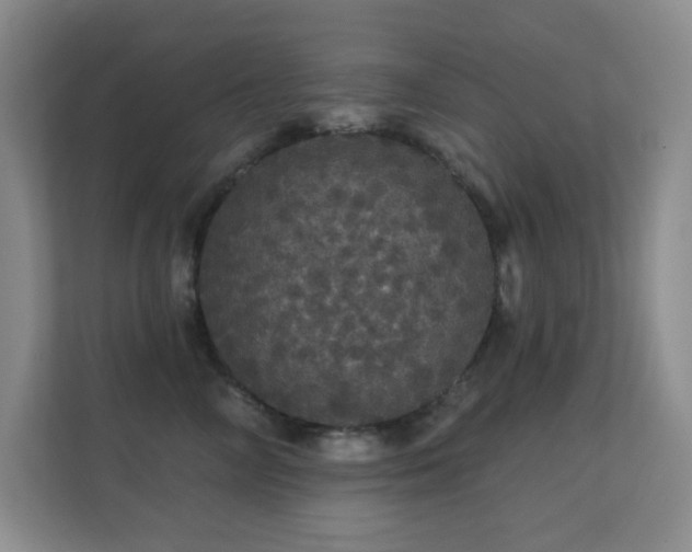 X0000112160714200908141234