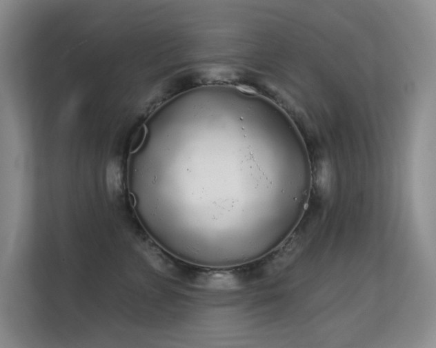 X0000112160715200908141234