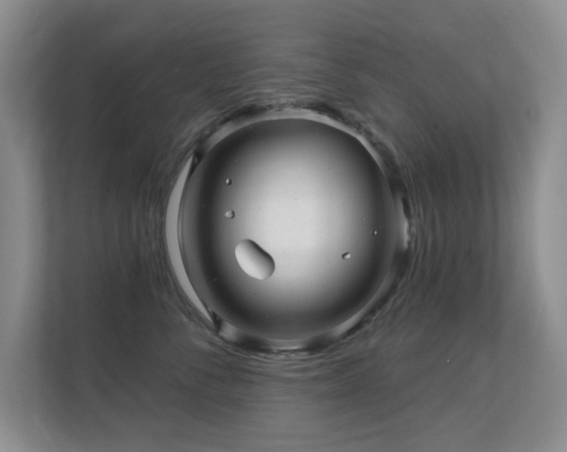 X0000112160716200908141234