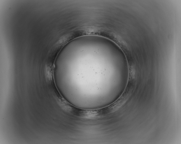 X0000112160719200908141234