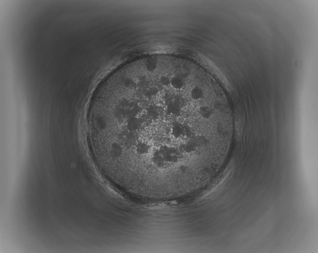 X0000112160721200908141234