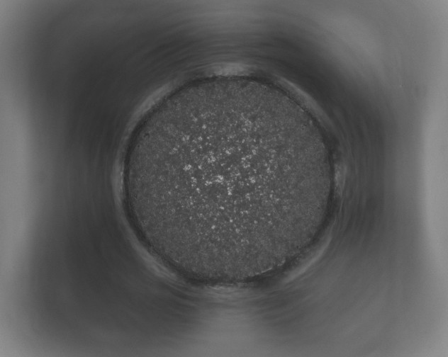 X0000112160725200908141234