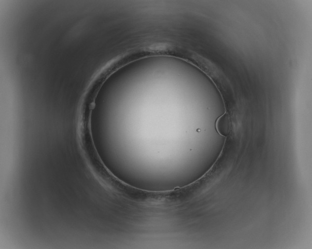 X0000112160728200908141234