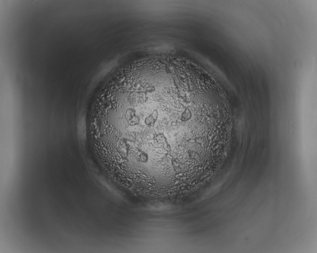 X0000112160729200908141234