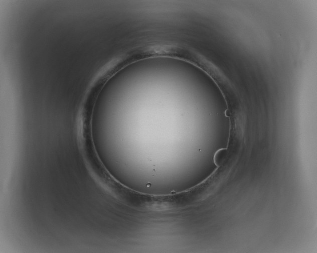 X0000112160730200908141234